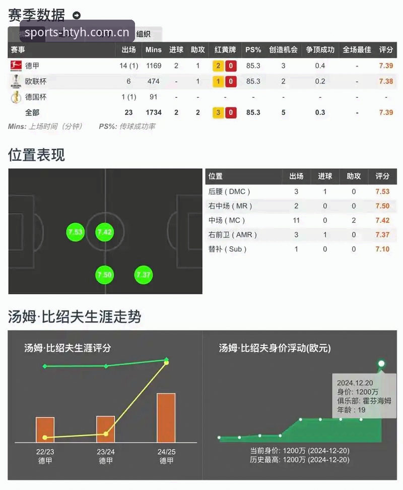 HTYH体育赛事数据推荐深度解析：一个老编辑的真实使用体验